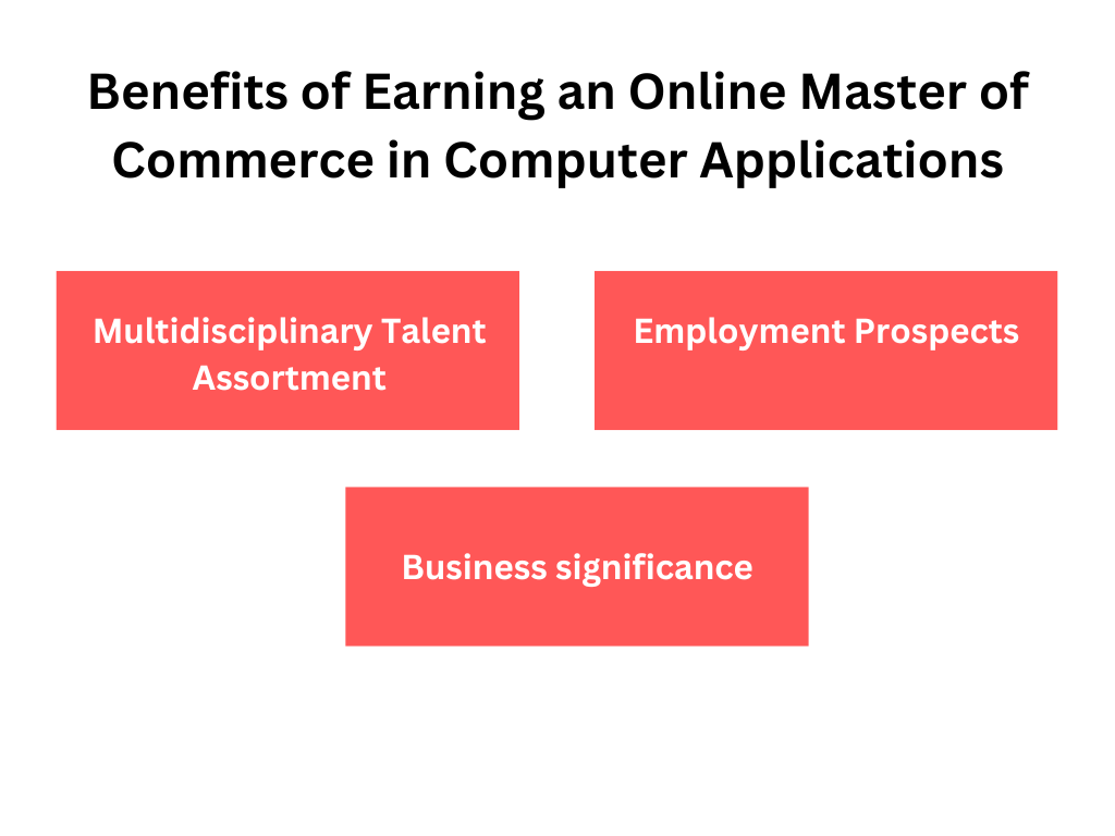 Benefits of Earning an Online Master of Commerce in Computer Applications