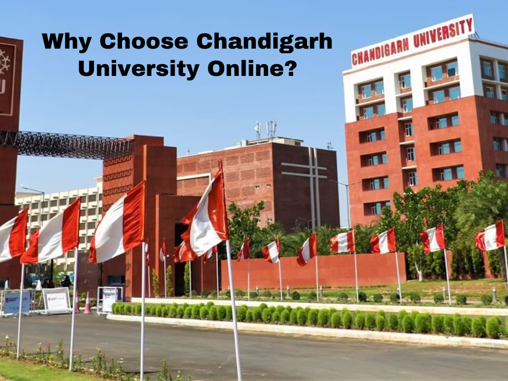 Chandigarh University Online